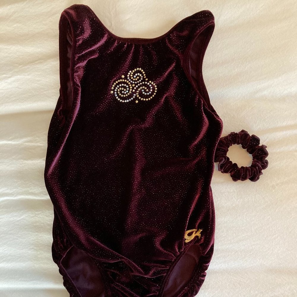 GK burgundy sparkle velvet leotard adult medium